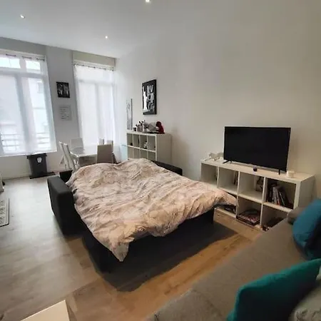 Apartment Grand Volume Calme Centre-ville Tan1